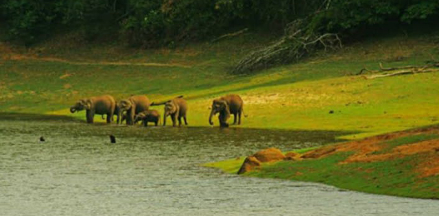 vagamon-destinations
